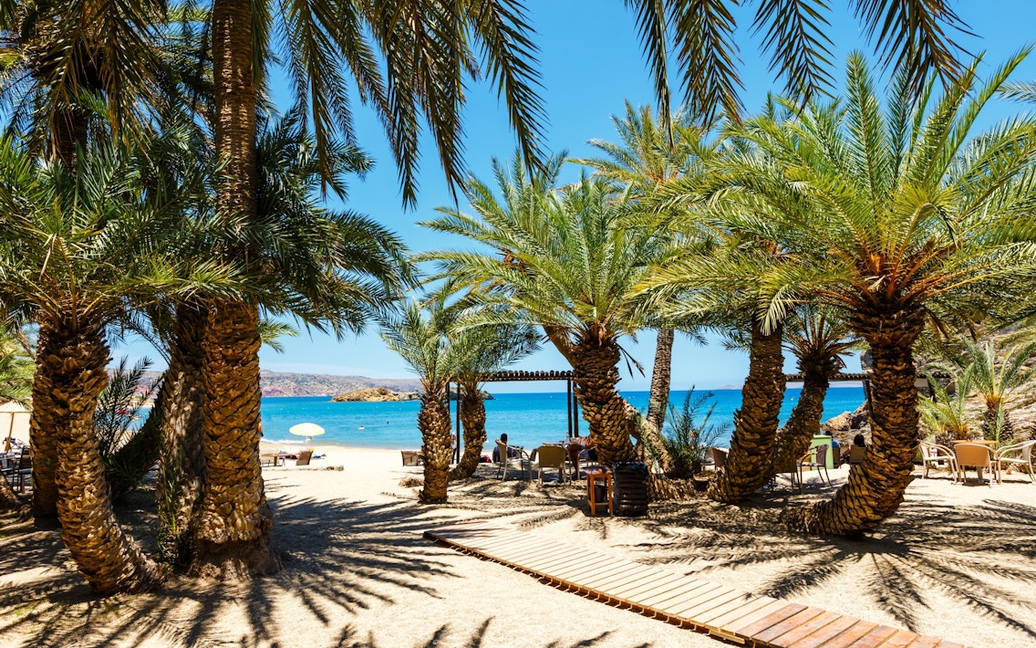 Palmenstrand Vai, Kreta | Griechenland.de