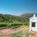 Weinbauregion Nemea, Peloponnes | griechenland.de