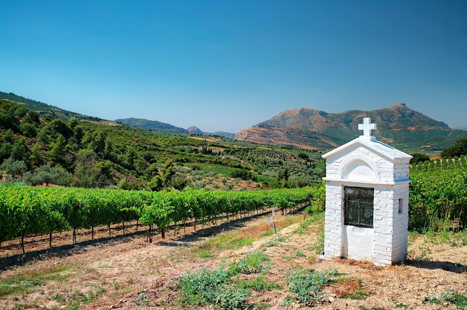 Weinbauregion Nemea, Peloponnes | griechenland.de